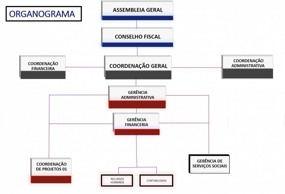 Organograma CIRAS